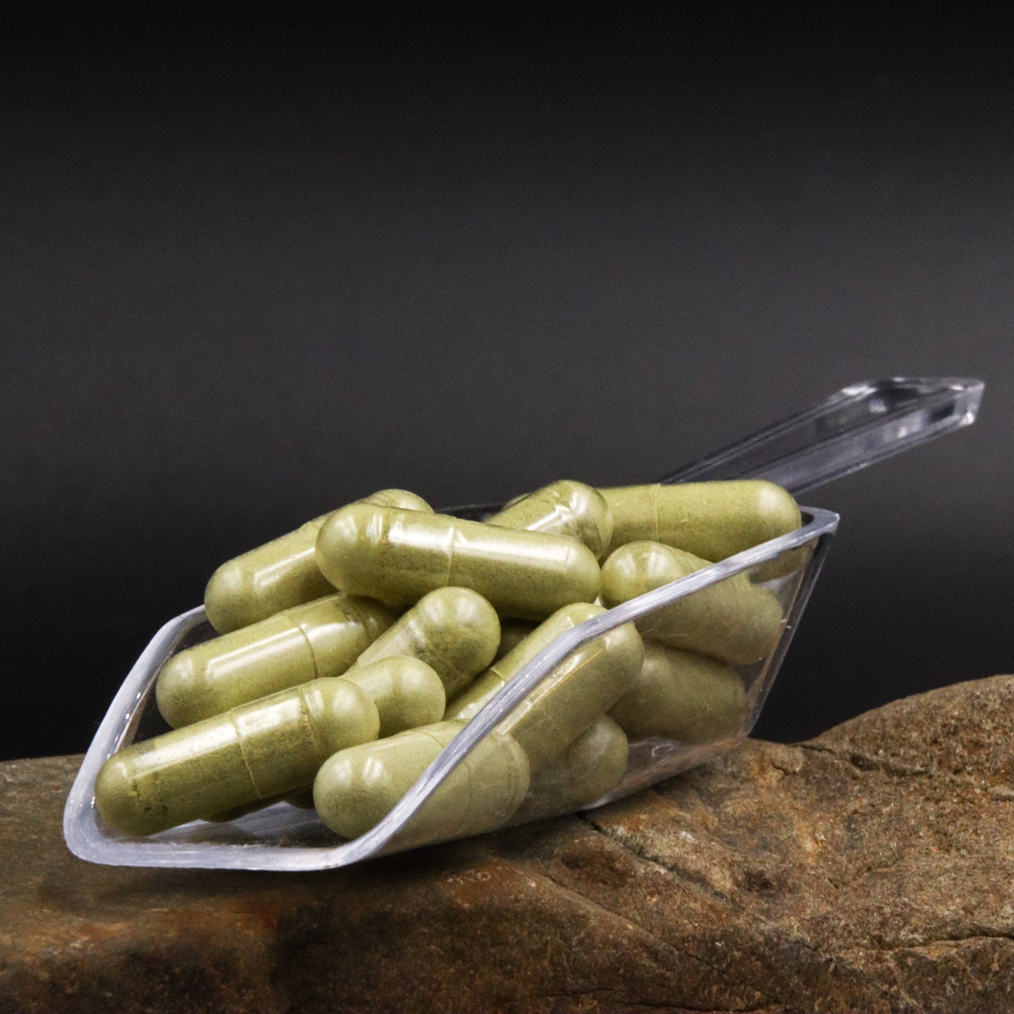 Organic Moringa Powder Capsules by Mecatl