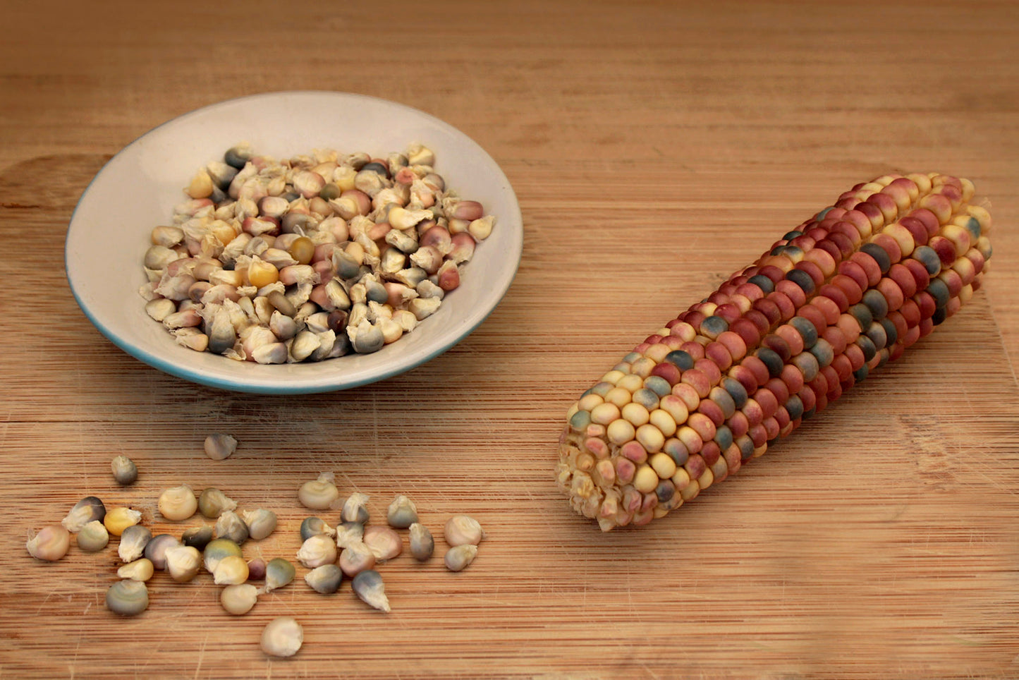 Organic Rainbow / Glass Gem Corn - Popcorn Maize by Mecatl